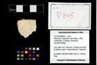 Foto (Objekt + Etikett) von Pithonoton marginatum (von Meyer, 1842)  (NHMW-GEO-2014-0194-0845)